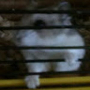 Meet your Posher, Luis